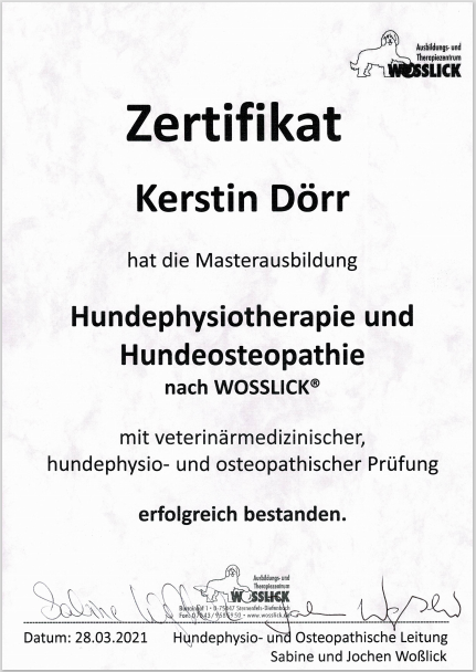 Hundephyiotherapie Donauwörth Zertifikat
